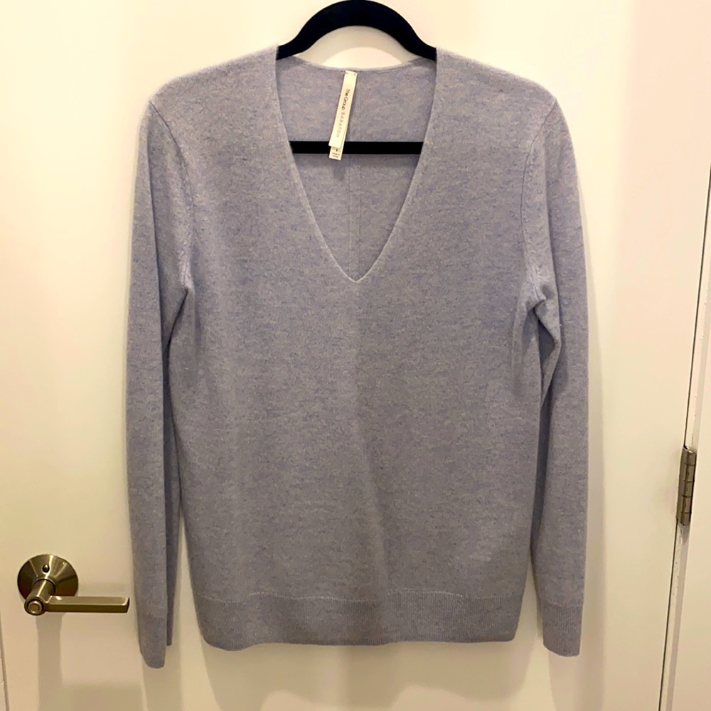 Aritzia Cashmere Blue Vneck Sweater